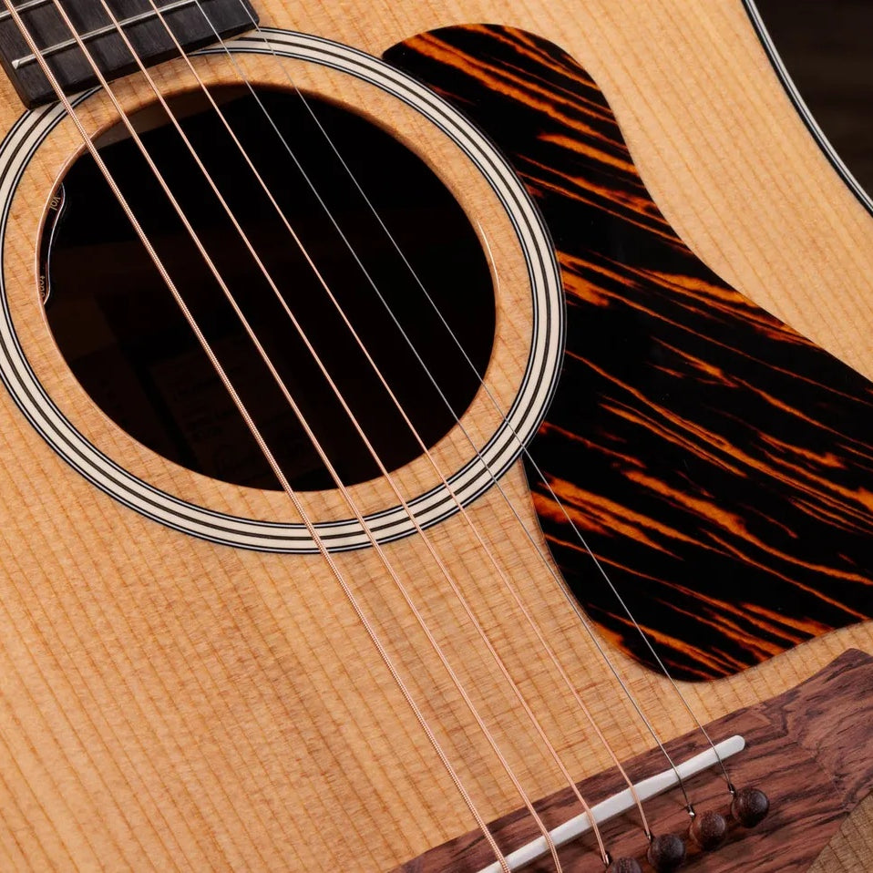 Đàn Guitar Acoustic Taylor Gold Label 510e - Natural