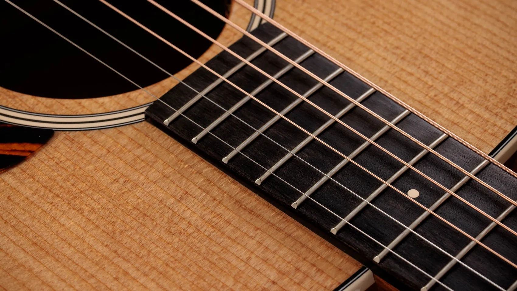 Đàn Guitar Acoustic Taylor Gold Label 510e - Natural