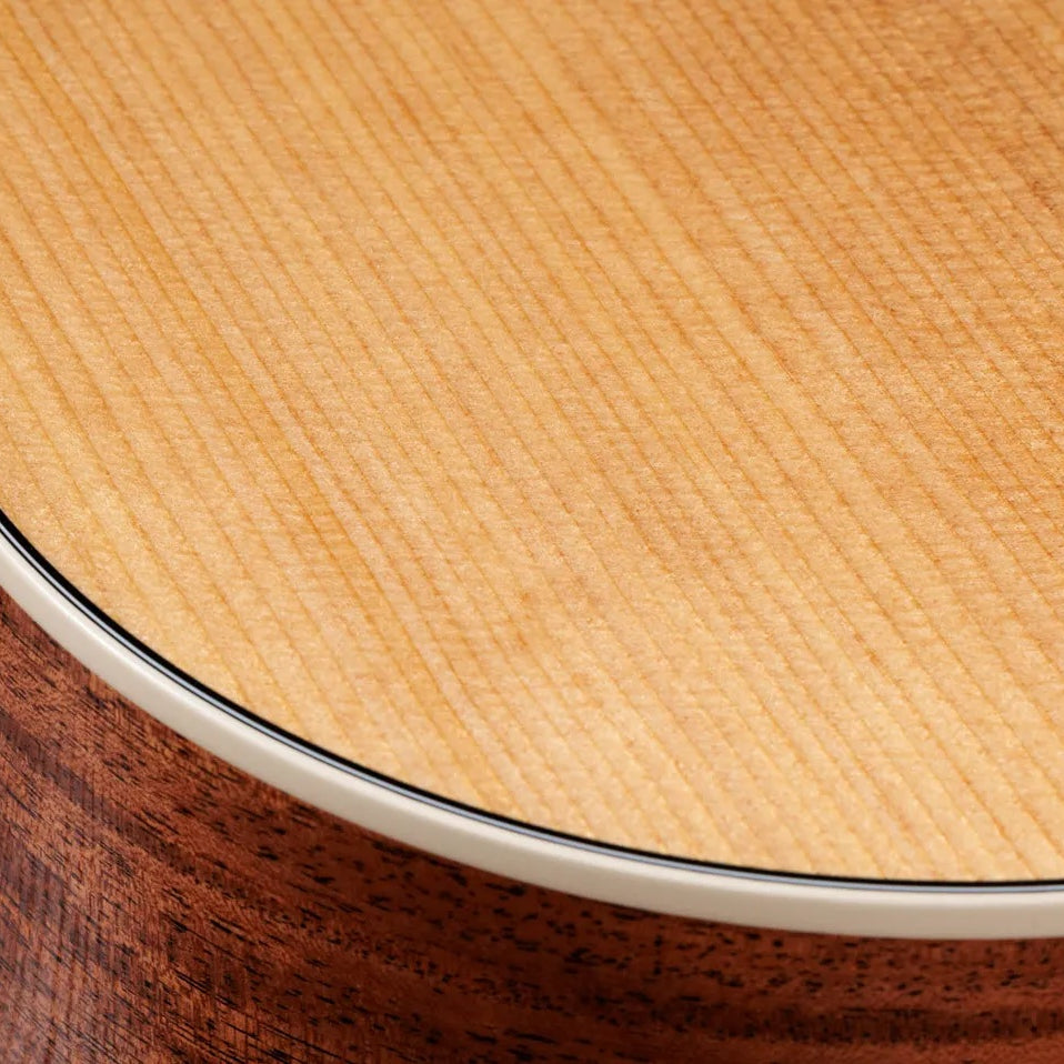 Đàn Guitar Acoustic Taylor Gold Label 510e - Natural