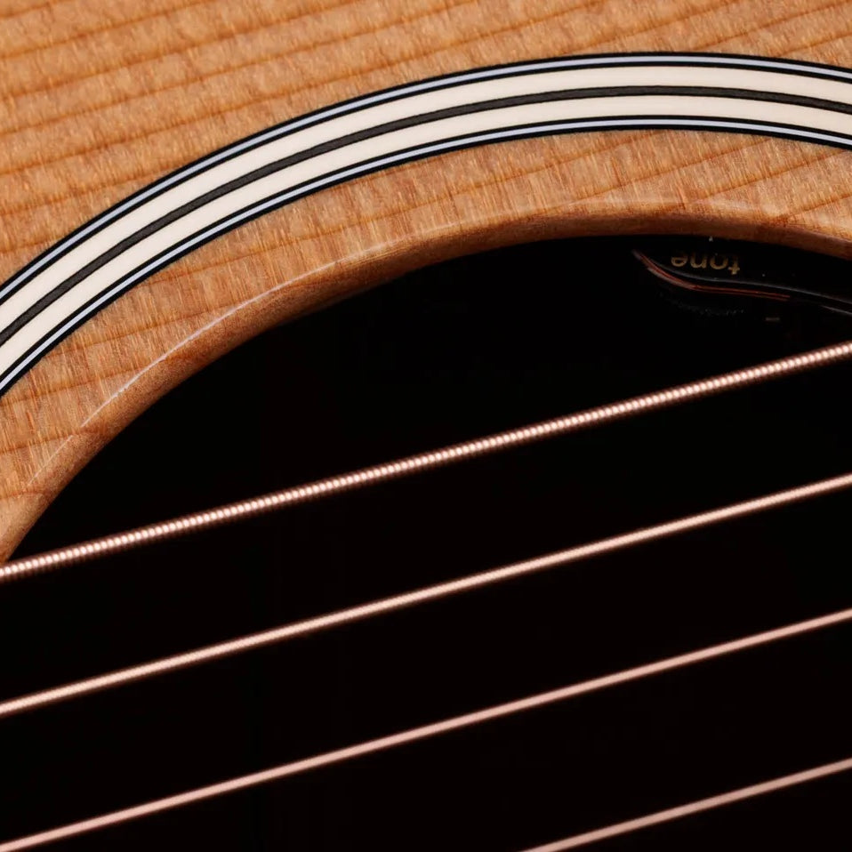 Đàn Guitar Acoustic Taylor Gold Label 510e - Natural