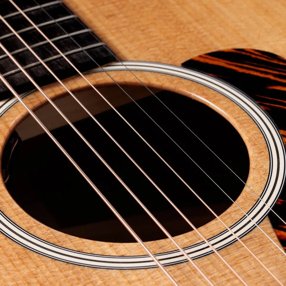 Đàn Guitar Acoustic Taylor Gold Label 510e - Natural