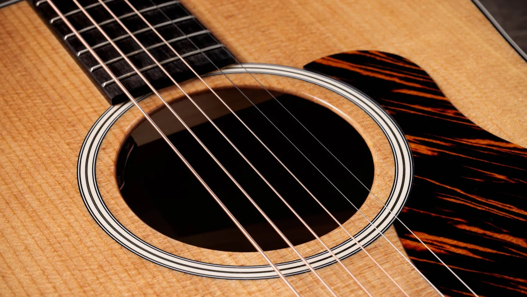 Đàn Guitar Acoustic Taylor Gold Label 510e - Natural