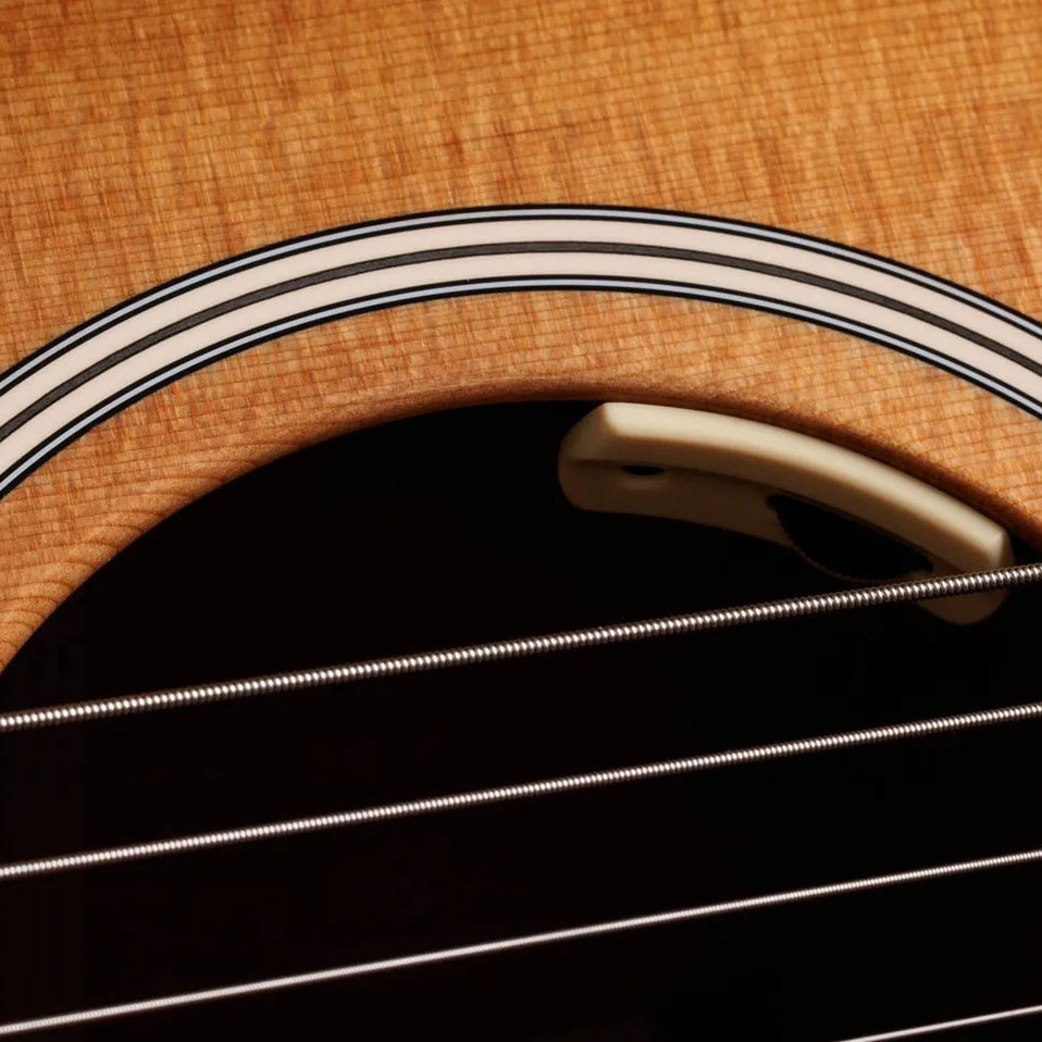 Đàn Guitar Acoustic Taylor Trey Hensley Gold Label 510e - Antique Blond