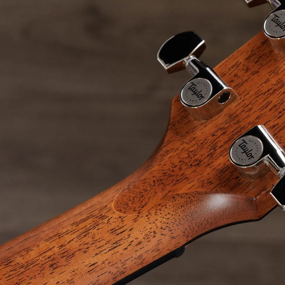 Đàn Guitar Acoustic Taylor Next Generation 512ce - Natural