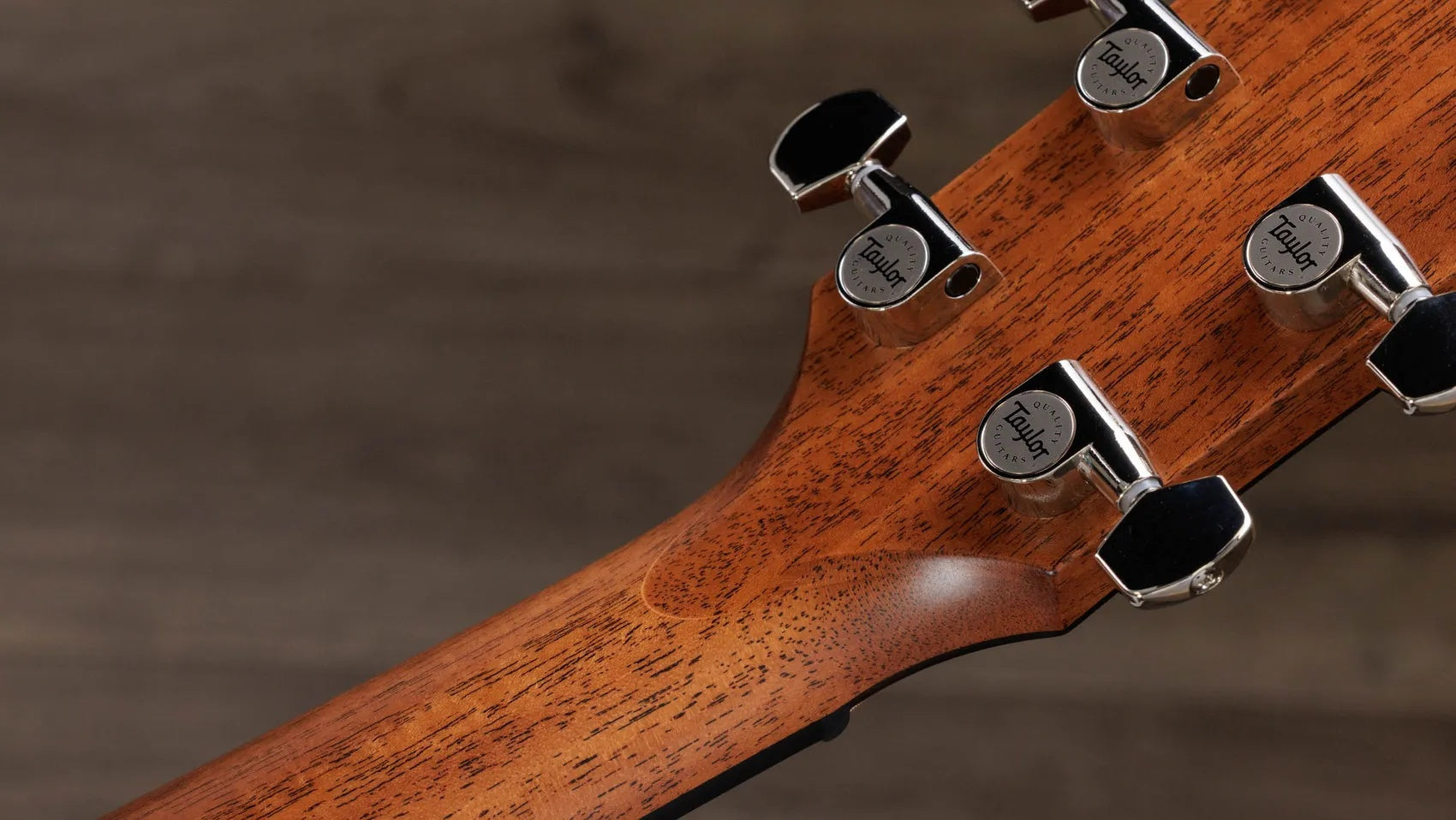 Đàn Guitar Acoustic Taylor Next Generation 512ce - Natural
