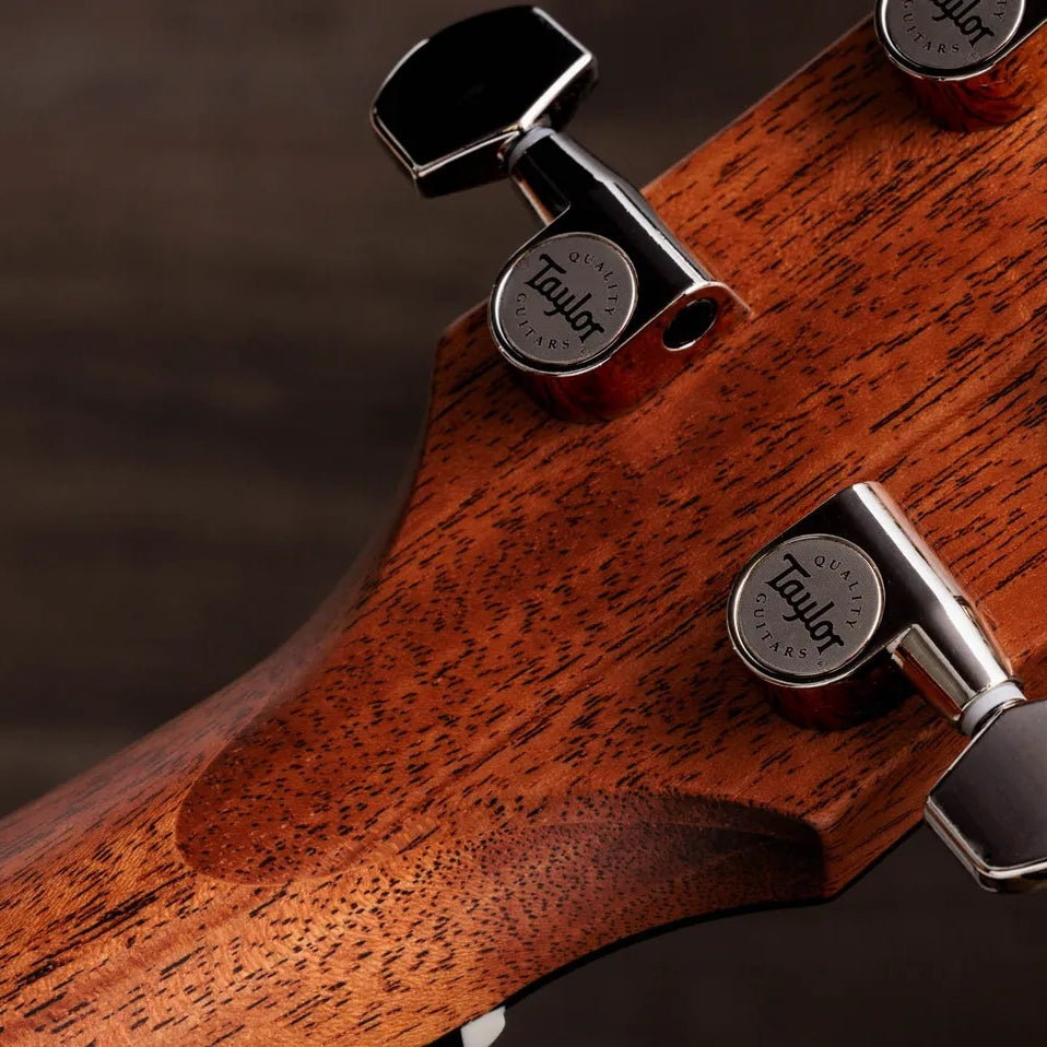 Đàn Guitar Acoustic Taylor Gold Label 512e - Natural
