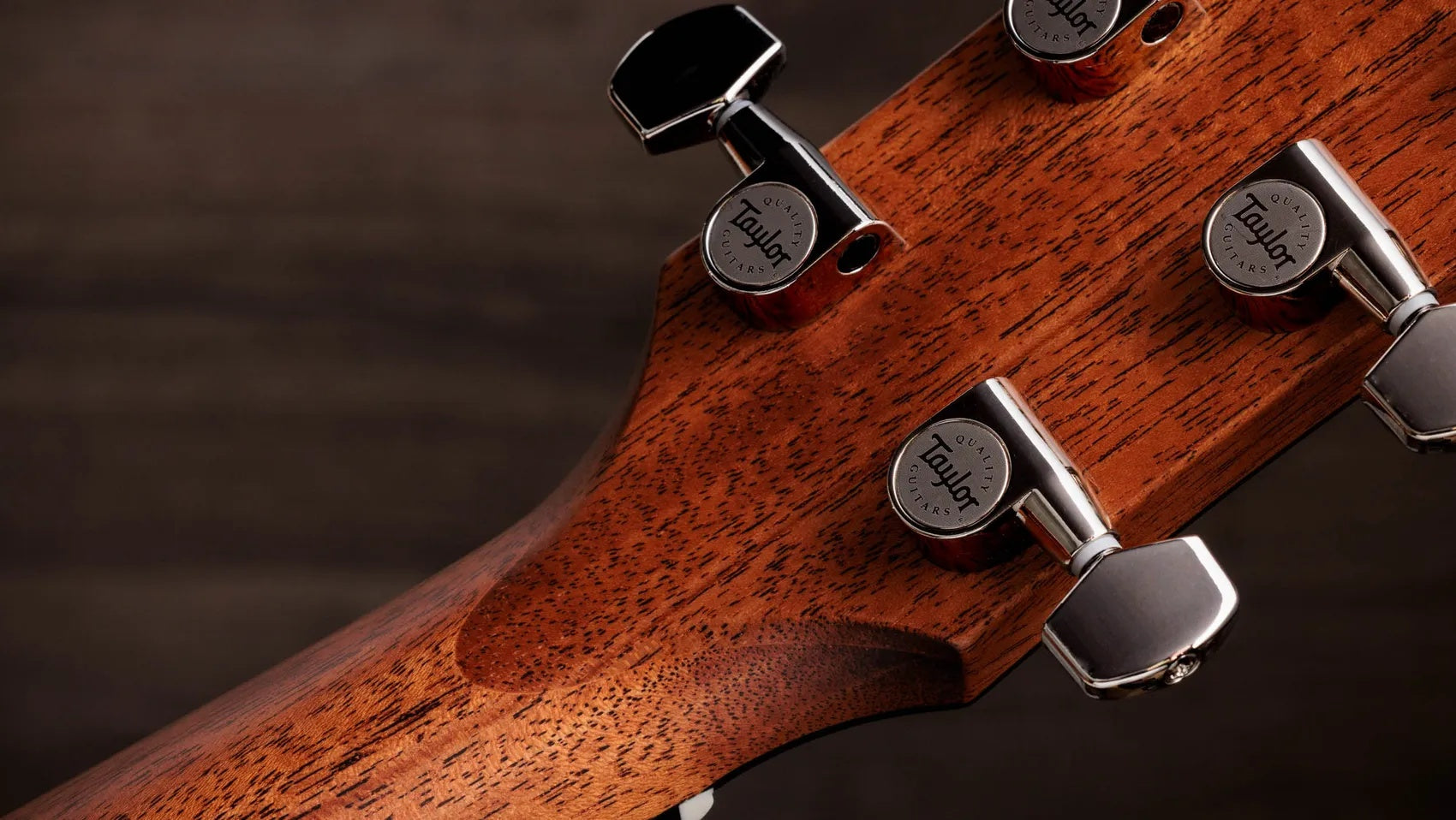 Đàn Guitar Acoustic Taylor Gold Label 512e - Natural