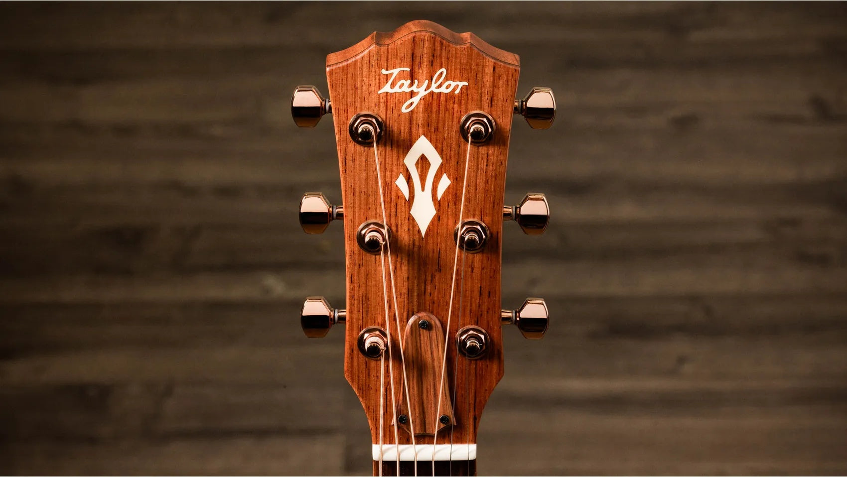 Đàn Guitar Acoustic Taylor Ben Harper Gold Label 512e Special Edition - Shaded Edgeburst