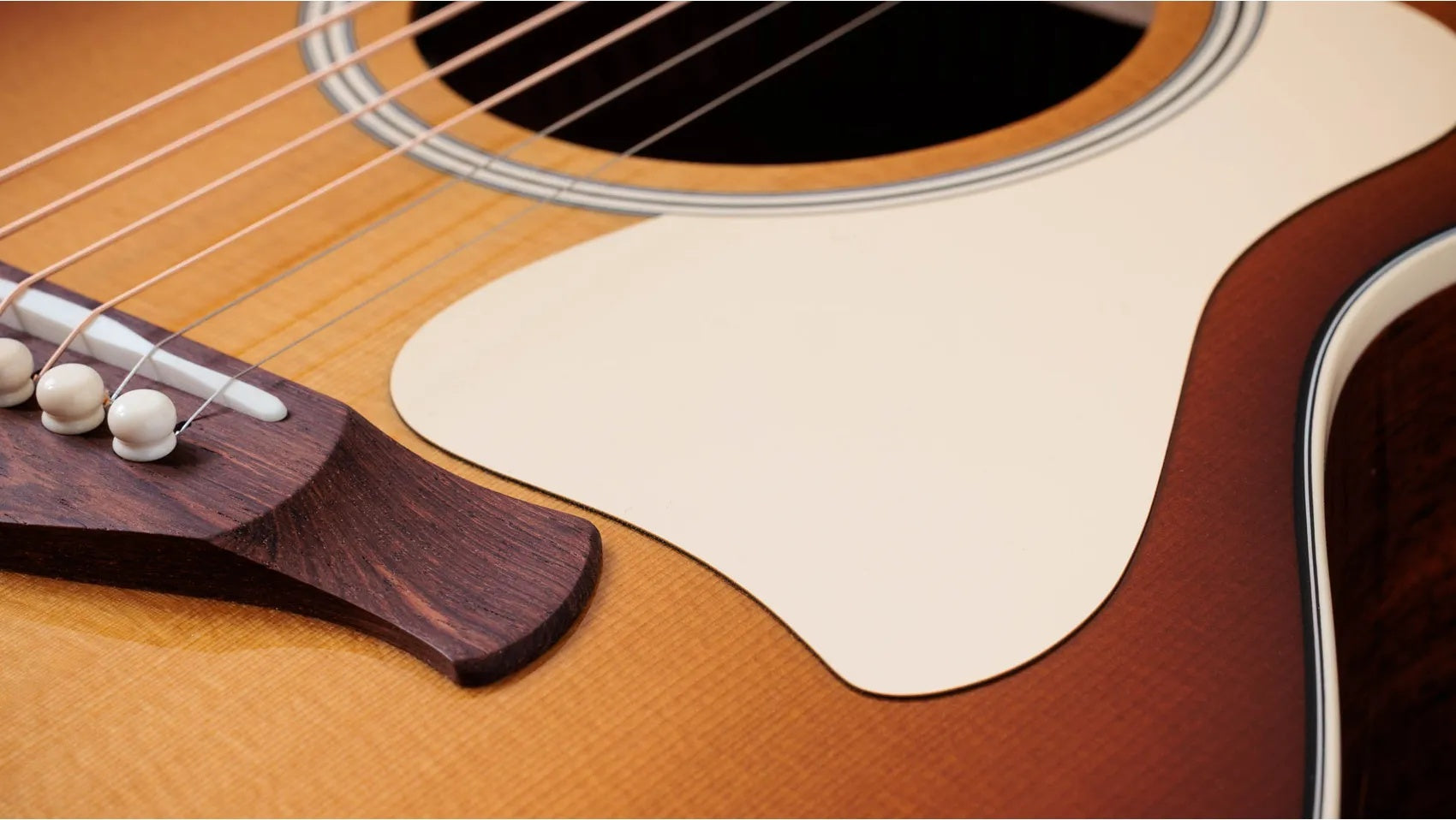 Đàn Guitar Acoustic Taylor Ben Harper Gold Label 512e Special Edition - Shaded Edgeburst