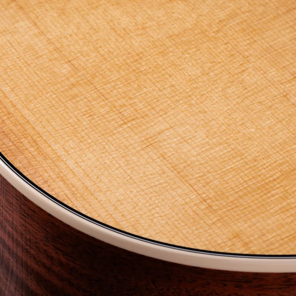 Đàn Guitar Acoustic Taylor Gold Label 512e - Natural