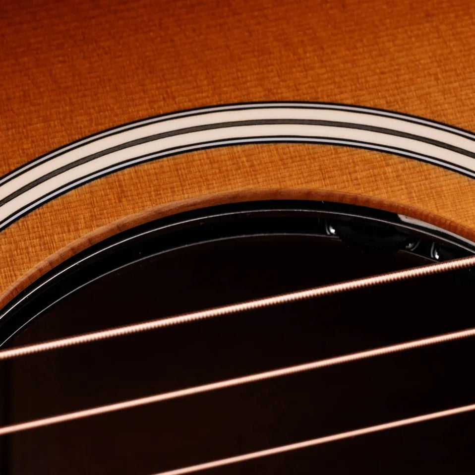 Đàn Guitar Acoustic Taylor Ben Harper Gold Label 512e Special Edition - Shaded Edgeburst