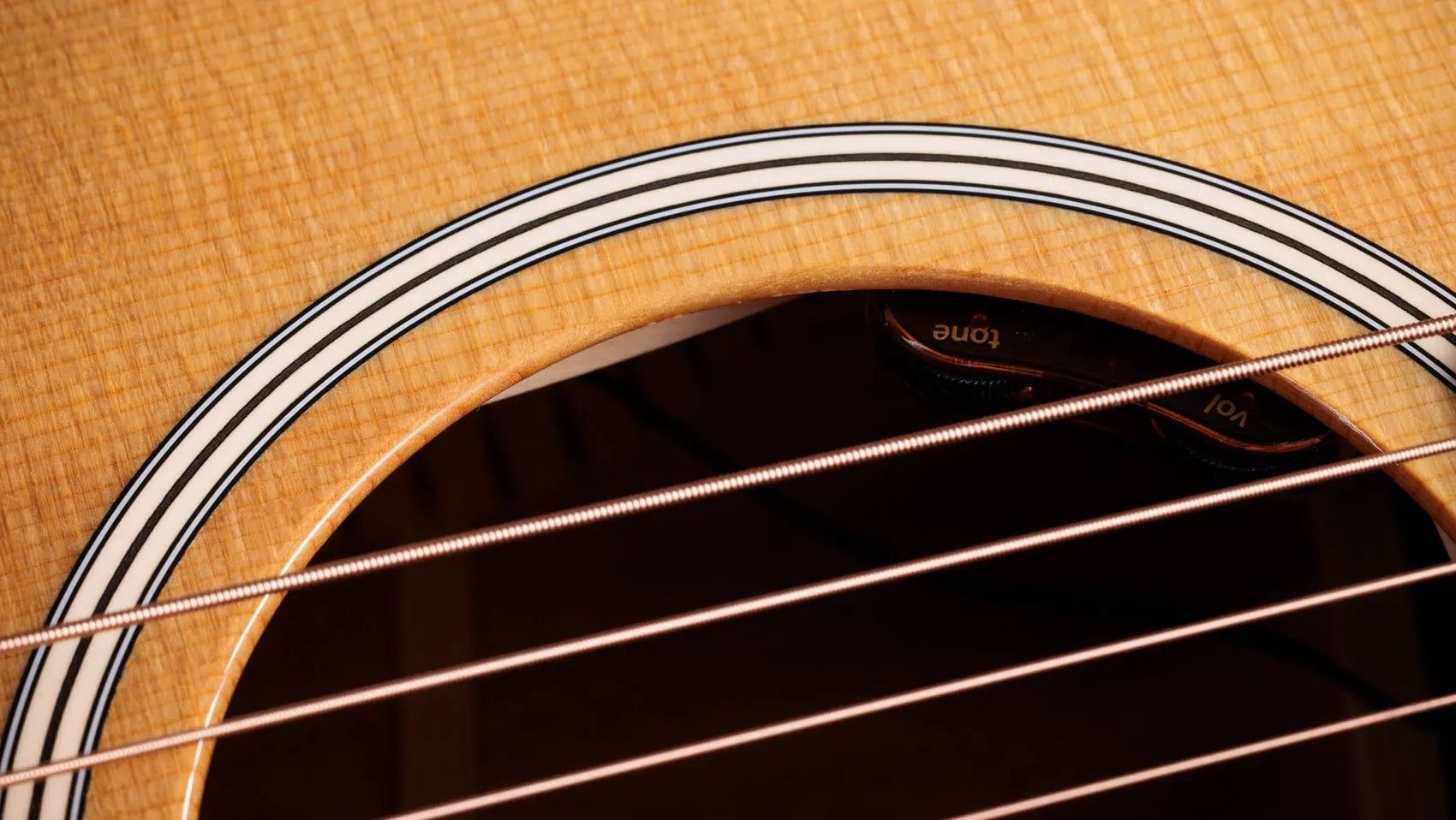 Đàn Guitar Acoustic Taylor Gold Label 512e - Natural