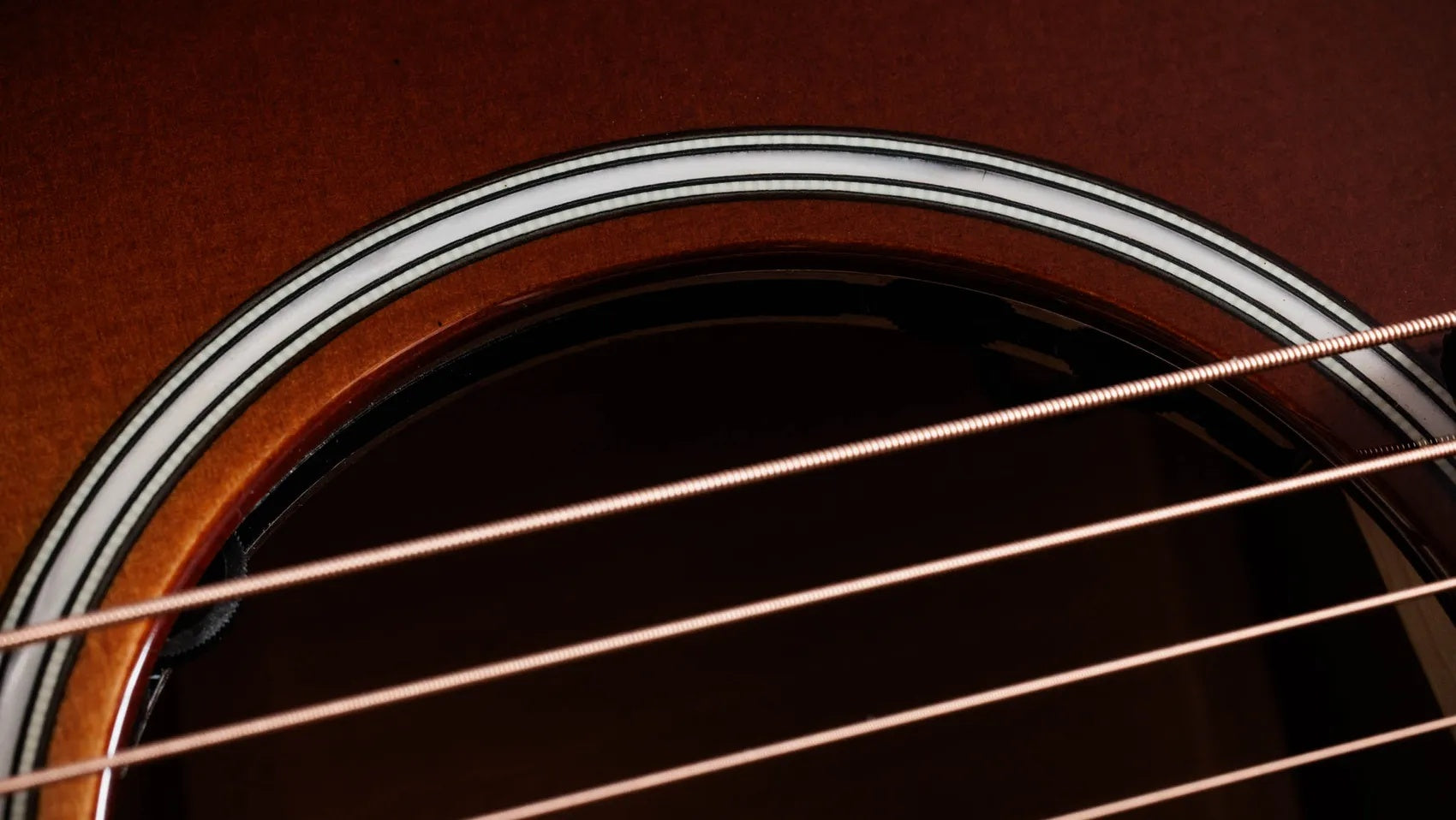 Đàn Guitar Acoustic Taylor Next Generation Builder's Edition 514ce-Mai Nguyên Music