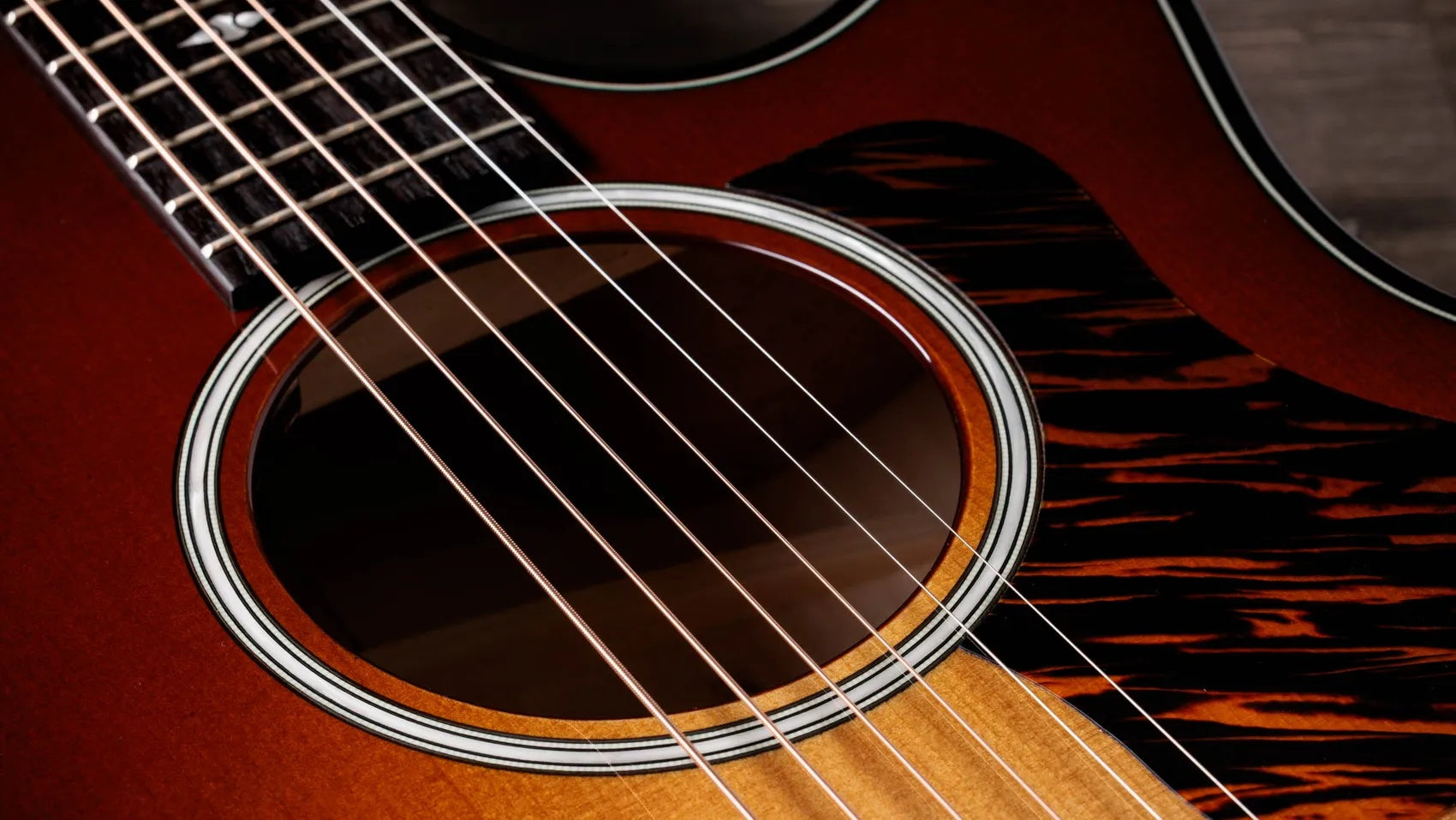 Đàn Guitar Acoustic Taylor Next Generation Builder's Edition 514ce-Mai Nguyên Music