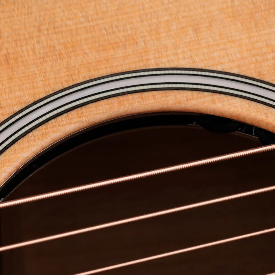 Đàn Guitar Acoustic Taylor Next Generation Builder's Edition 514ce-Mai Nguyên Music