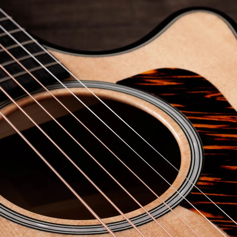 Đàn Guitar Acoustic Taylor Next Generation Builder's Edition 514ce-Mai Nguyên Music