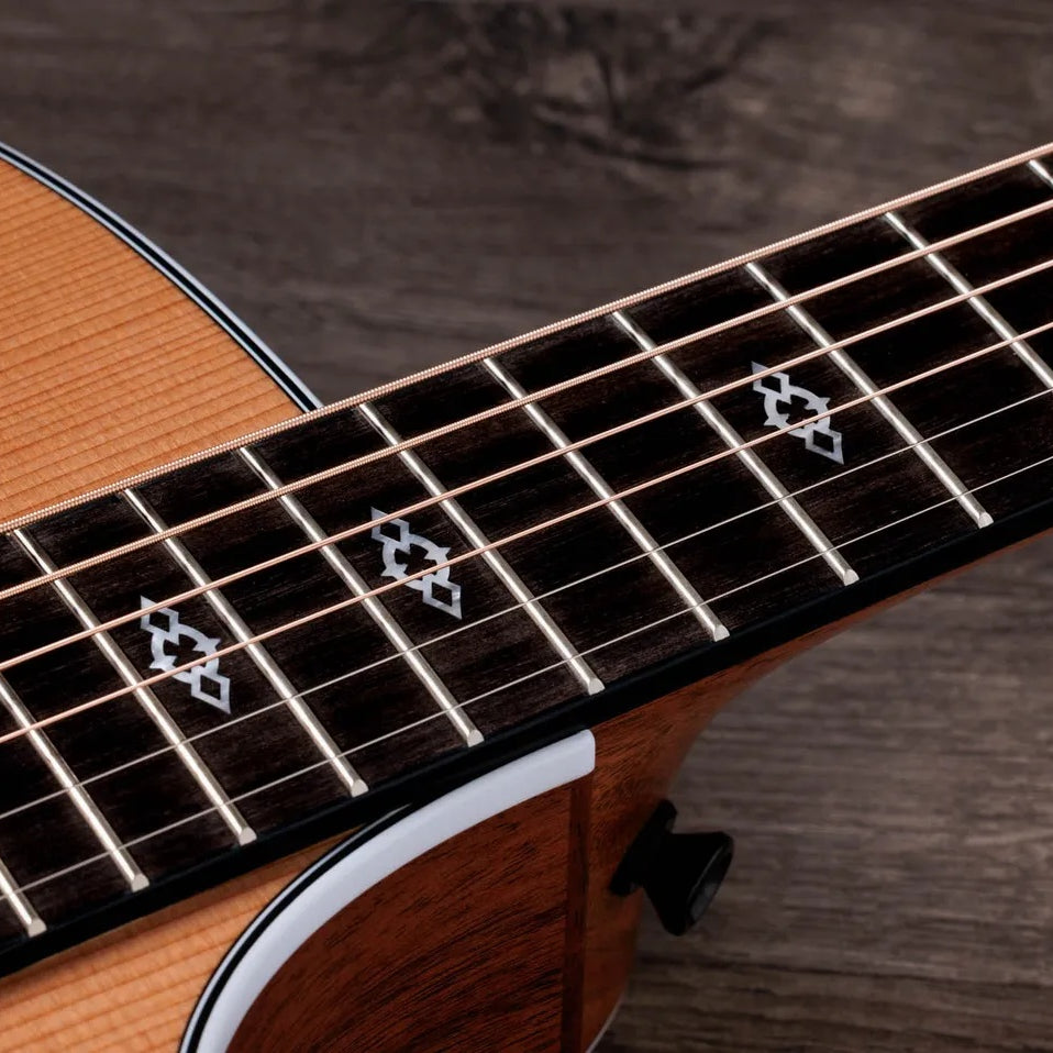 Đàn Guitar Acoustic Taylor Next Generation 514ce - Natural-Mai Nguyên Music