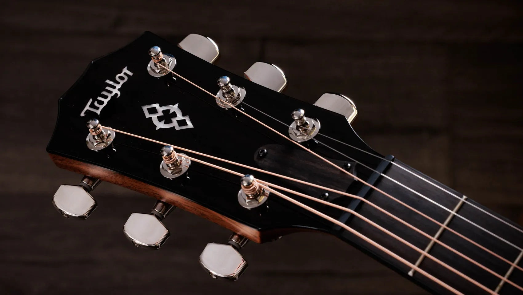 Đàn Guitar Acoustic Taylor Next Generation 514ce - Natural-Mai Nguyên Music