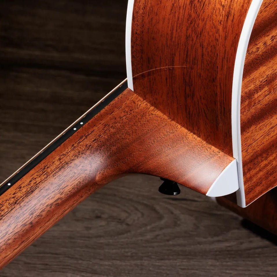 Đàn Guitar Acoustic Taylor Next Generation 514ce - Natural-Mai Nguyên Music