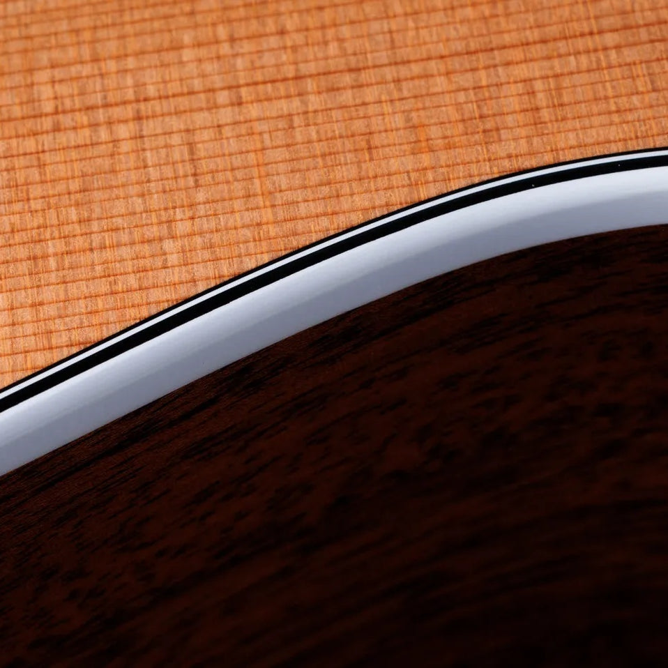 Đàn Guitar Acoustic Taylor Next Generation 514ce - Natural-Mai Nguyên Music