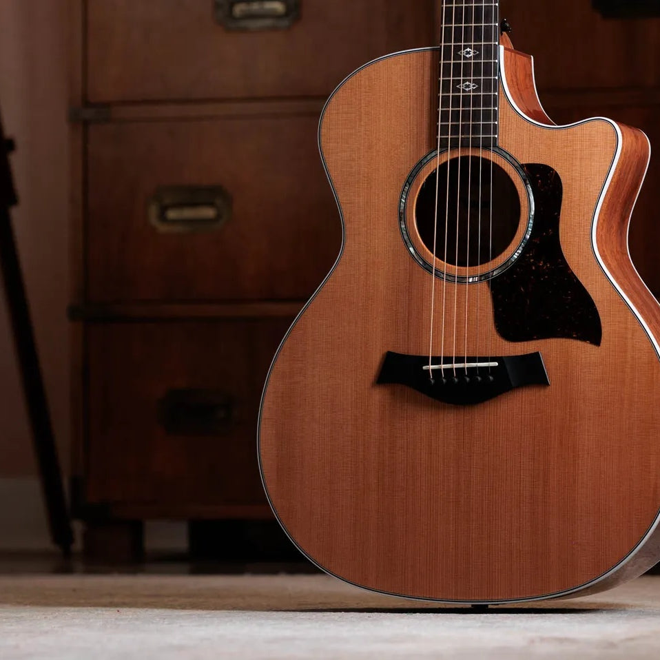 Đàn Guitar Acoustic Taylor Next Generation 514ce - Natural-Mai Nguyên Music