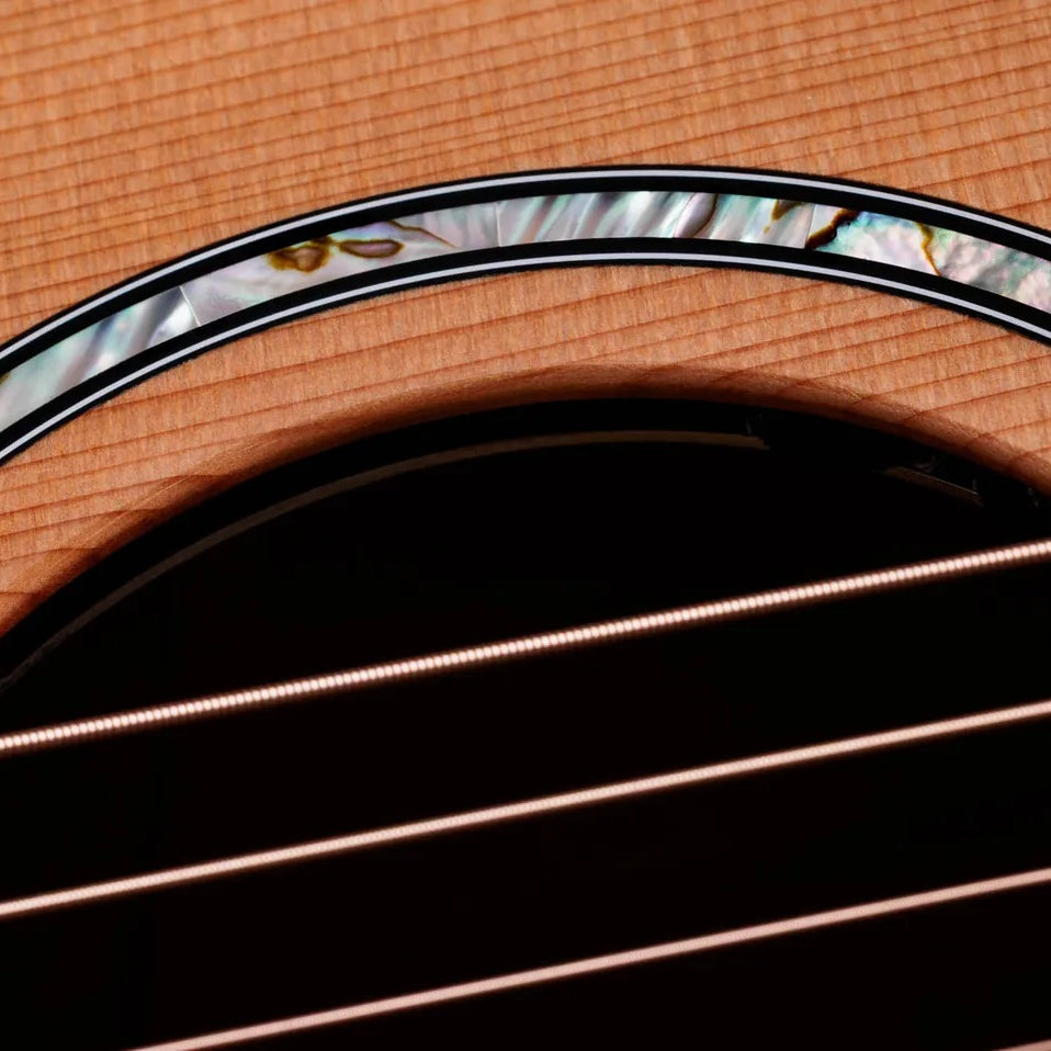 Đàn Guitar Acoustic Taylor Next Generation 514ce - Natural-Mai Nguyên Music