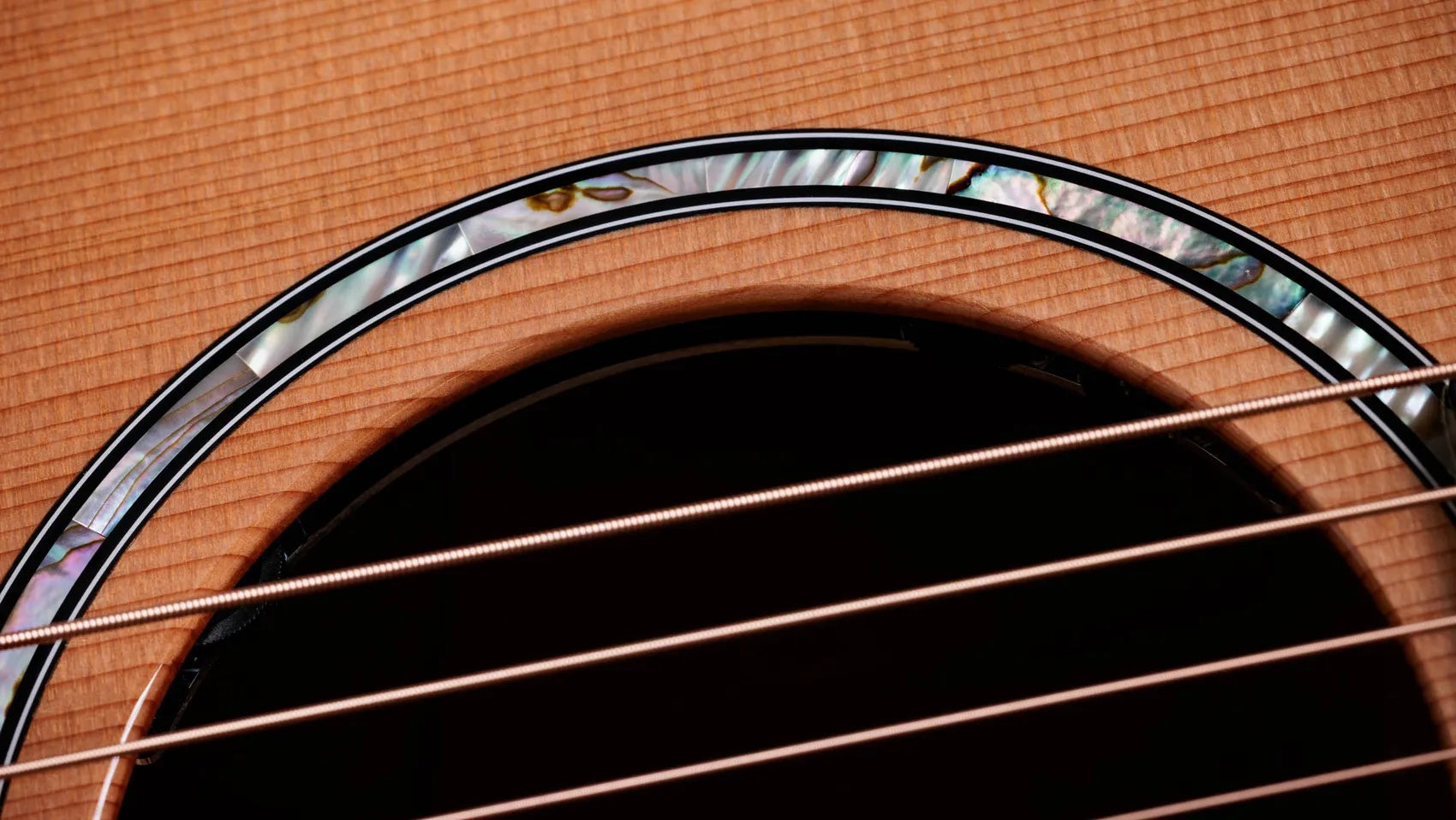 Đàn Guitar Acoustic Taylor Next Generation 514ce - Natural-Mai Nguyên Music