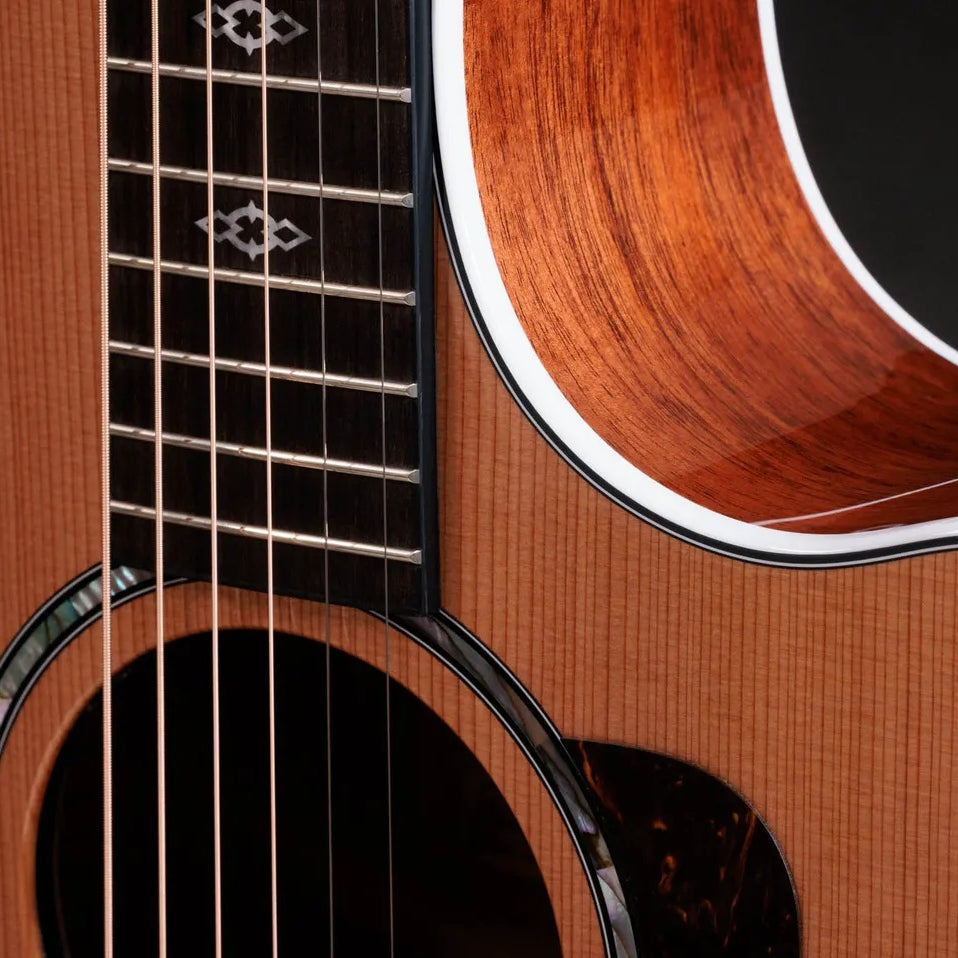 Đàn Guitar Acoustic Taylor Next Generation 514ce - Natural-Mai Nguyên Music