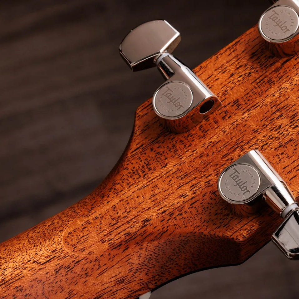 Đàn Guitar Acoustic Taylor Gold Label 514e