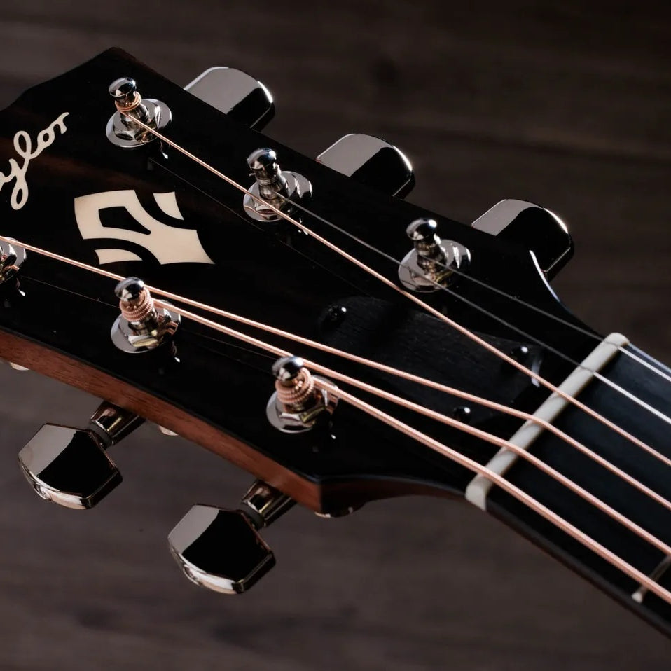Đàn Guitar Acoustic Taylor Gold Label 514e