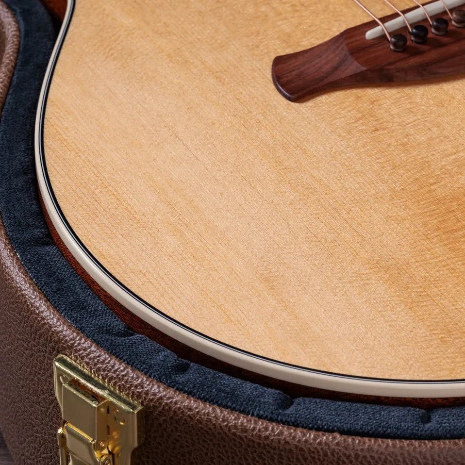 Đàn Guitar Acoustic Taylor Gold Label 514e