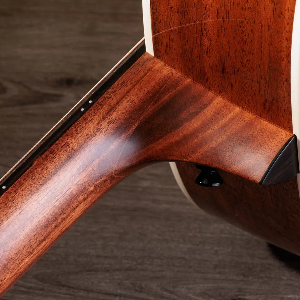 Đàn Guitar Acoustic Taylor Gold Label 514e
