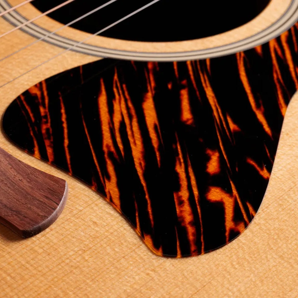 Đàn Guitar Acoustic Taylor Gold Label 514e
