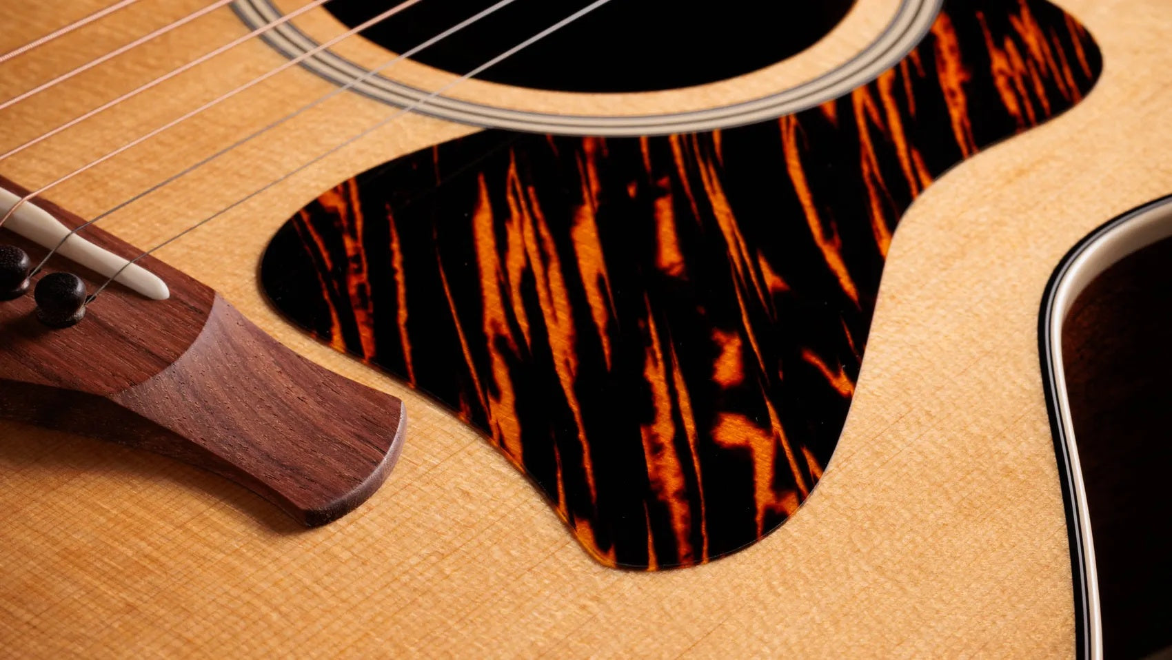 Đàn Guitar Acoustic Taylor Gold Label 514e