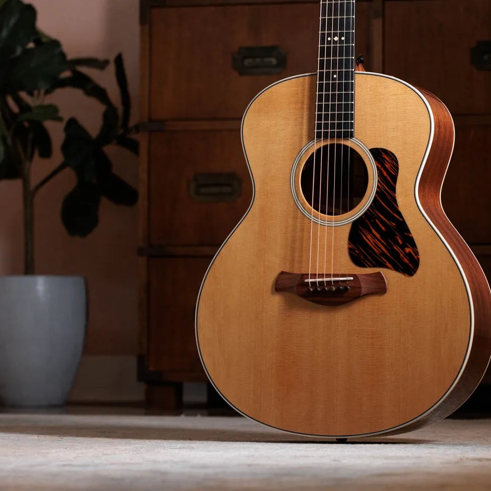 Đàn Guitar Acoustic Taylor Gold Label 514e