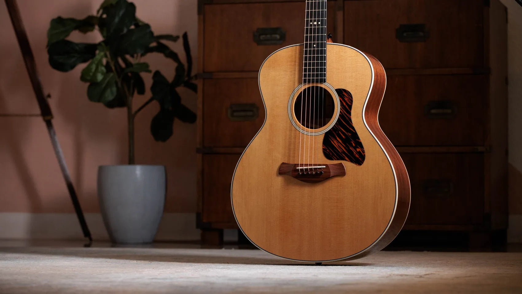 Đàn Guitar Acoustic Taylor Gold Label 514e