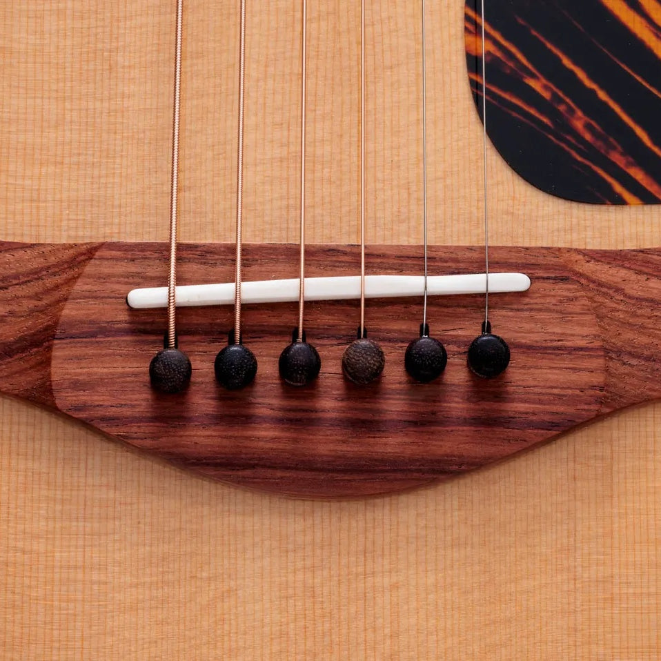 Đàn Guitar Acoustic Taylor Gold Label 514e