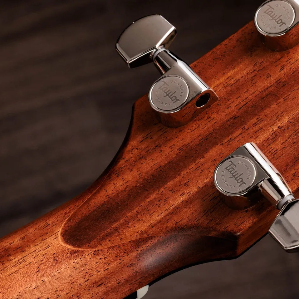 Đàn Guitar Acoustic Taylor Gold Label 514e