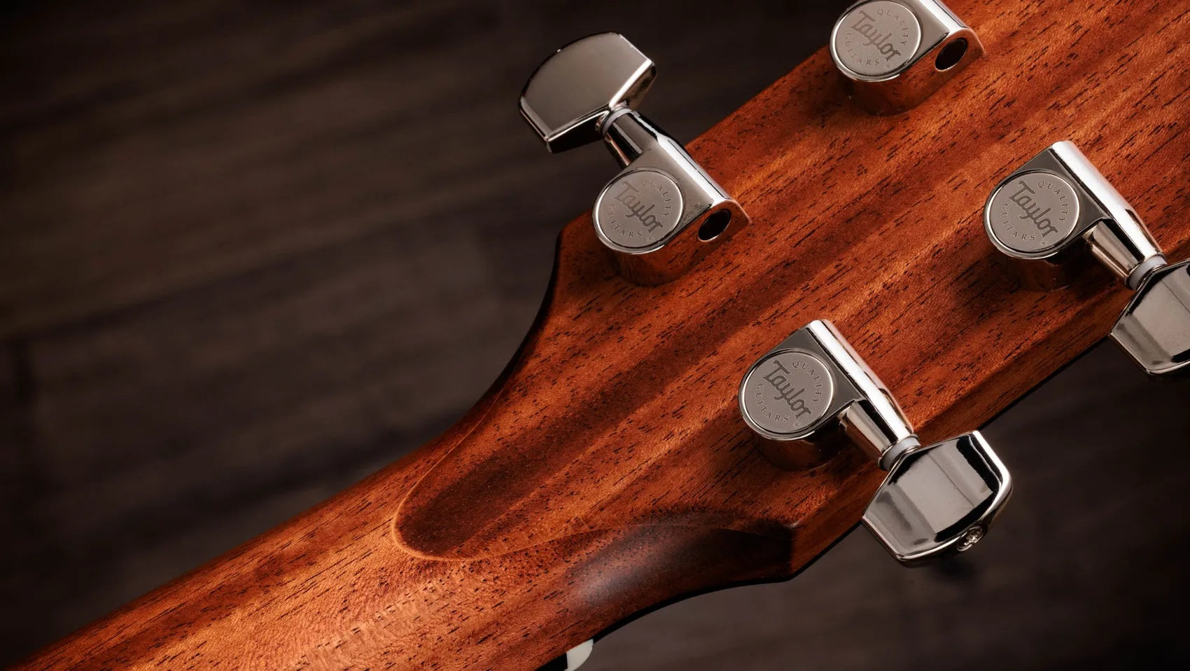 Đàn Guitar Acoustic Taylor Gold Label 514e