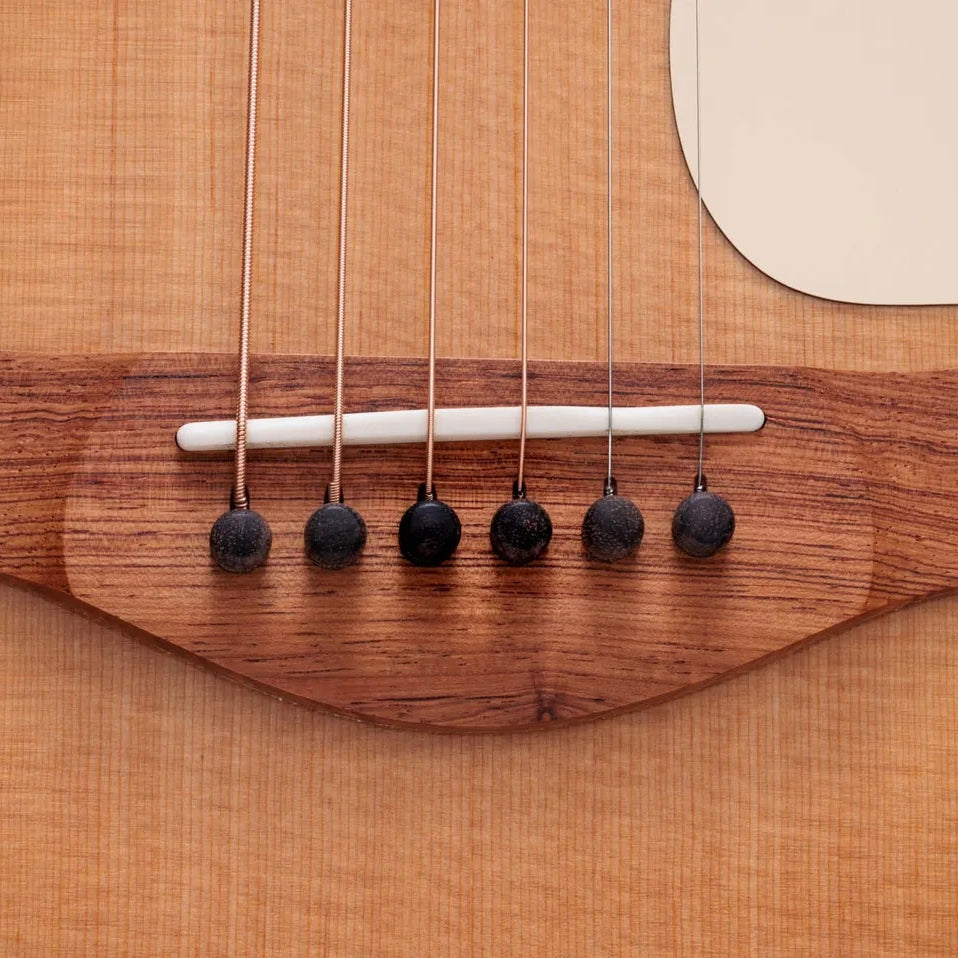 Đàn Guitar Acoustic Taylor Gold Label 514e
