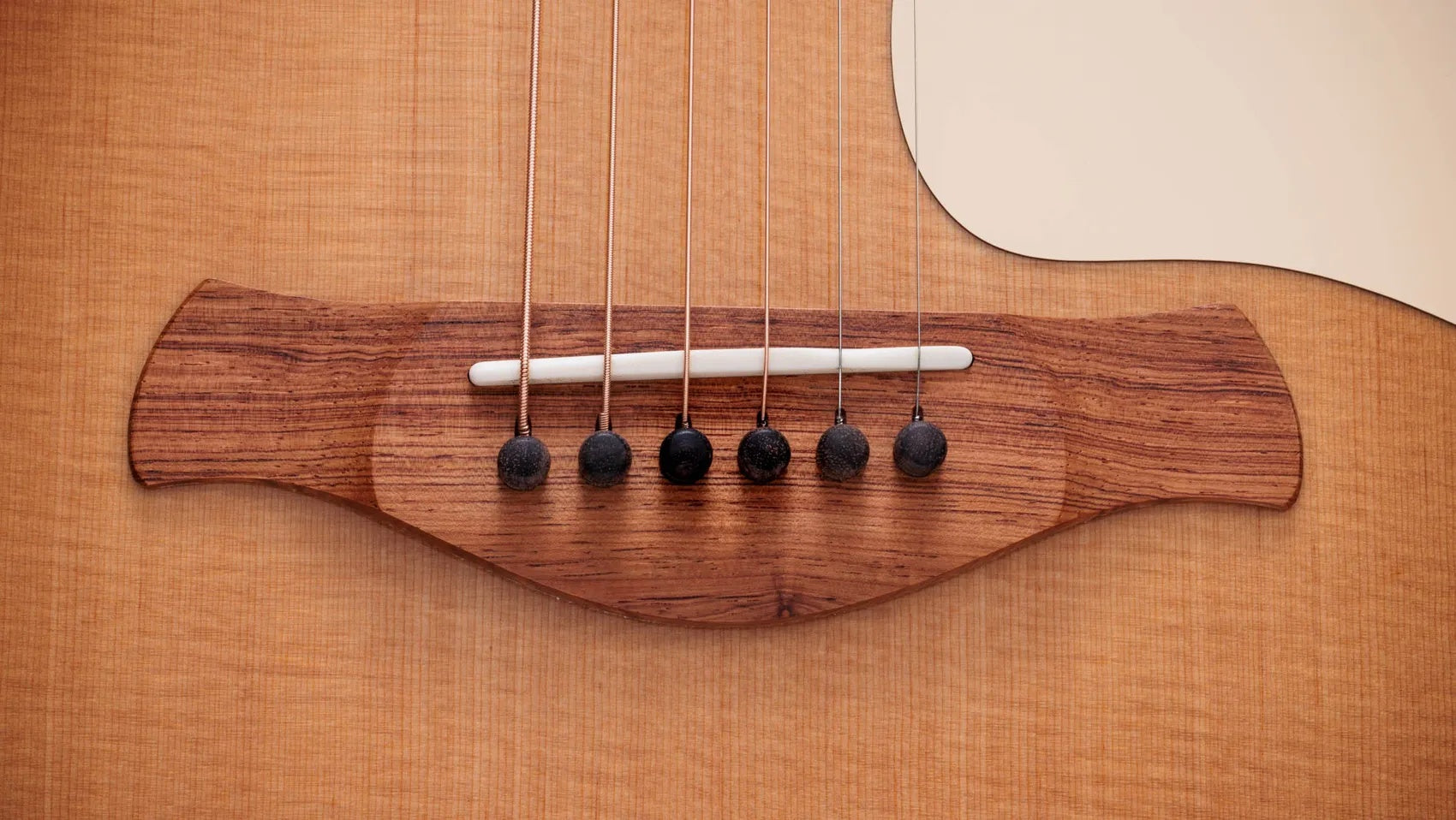 Đàn Guitar Acoustic Taylor Gold Label 514e