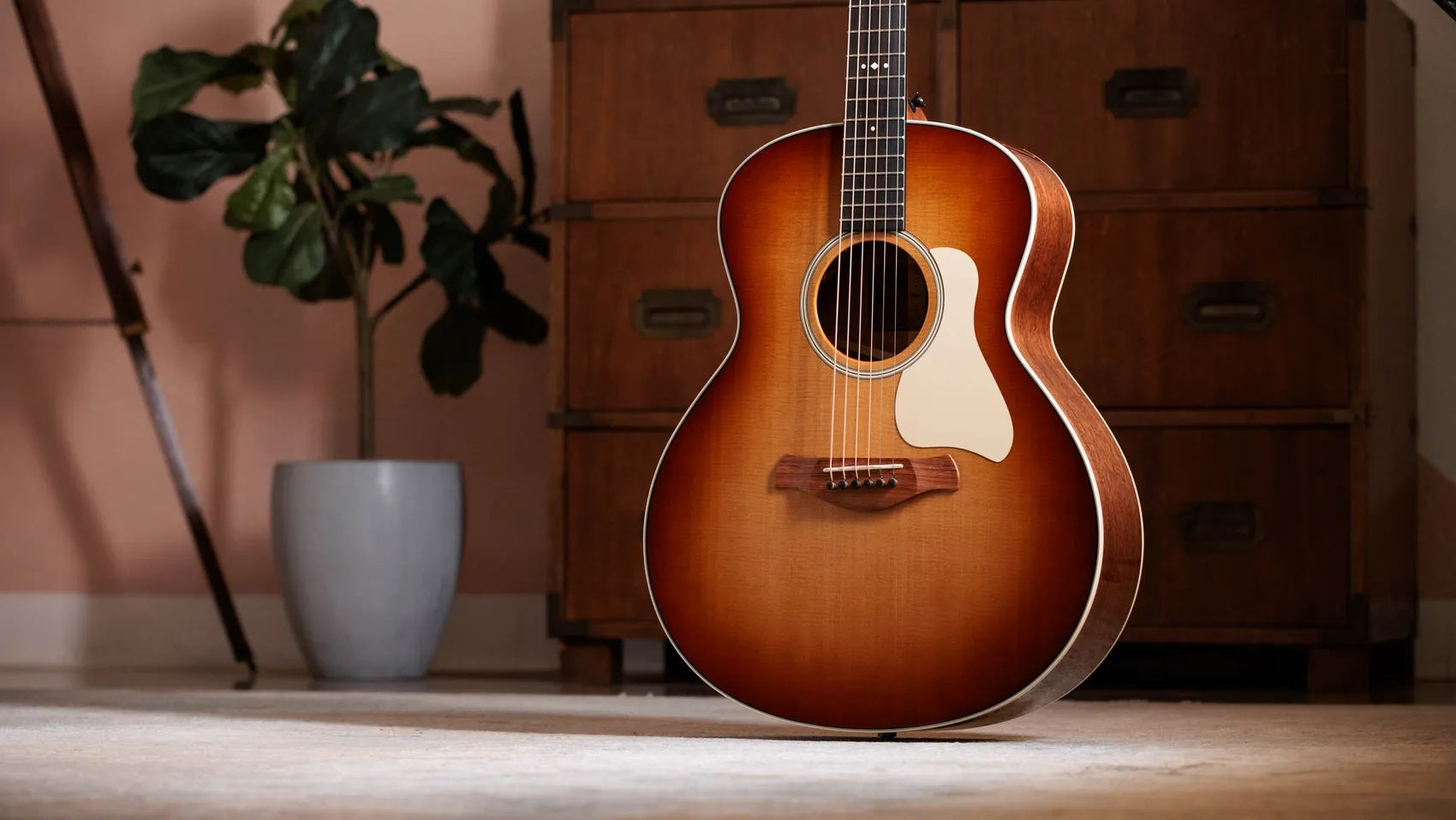 Đàn Guitar Acoustic Taylor Gold Label 514e
