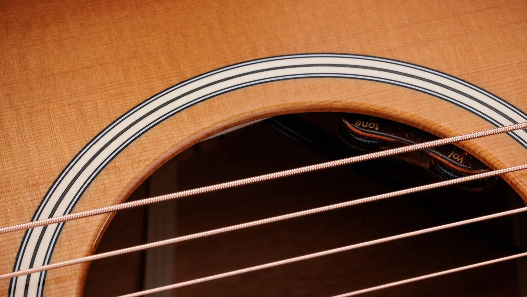 Đàn Guitar Acoustic Taylor Gold Label 514e