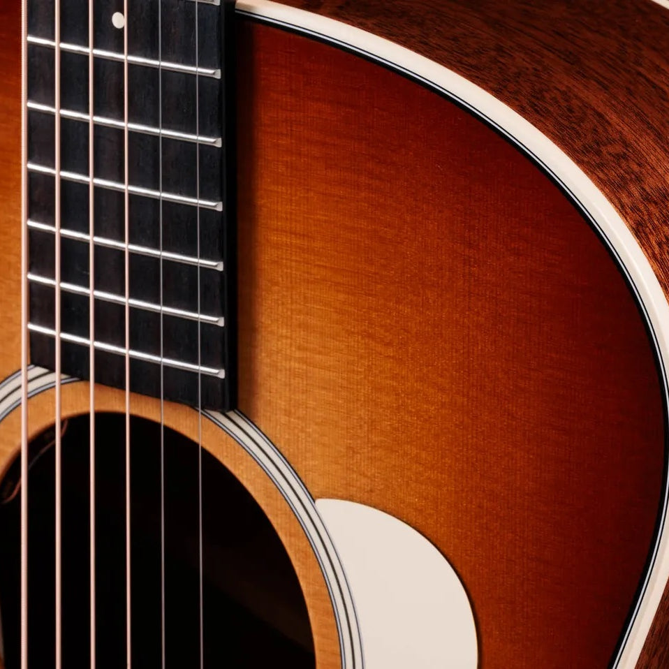 Đàn Guitar Acoustic Taylor Gold Label 514e