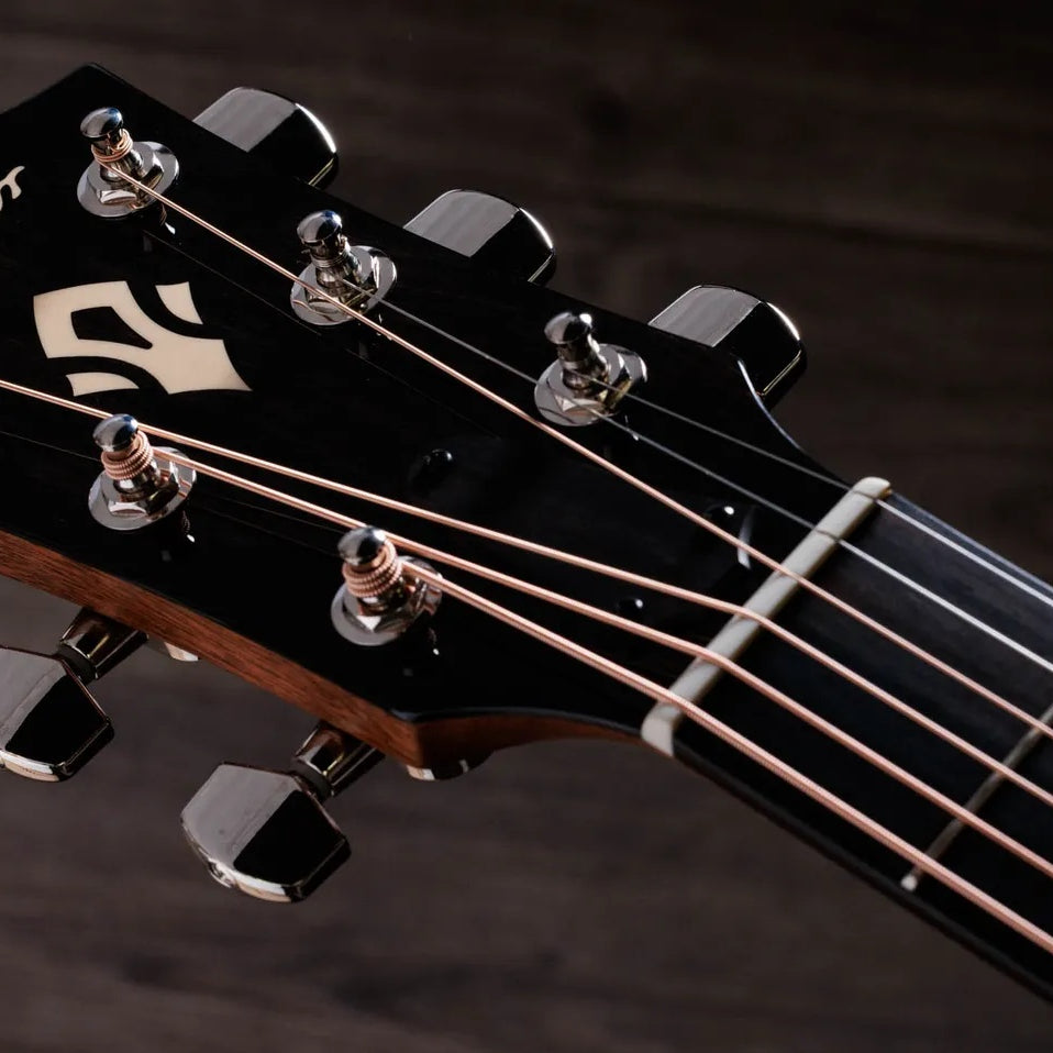 Đàn Guitar Acoustic Taylor Gold Label 514e