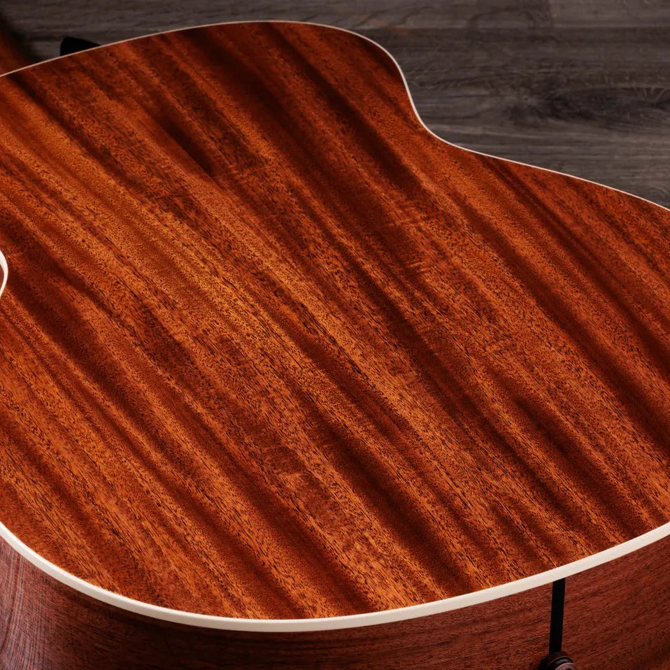 Đàn Guitar Acoustic Taylor Gold Label 514e