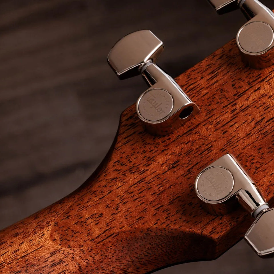 Đàn Guitar Acoustic Taylor Gold Label 514e