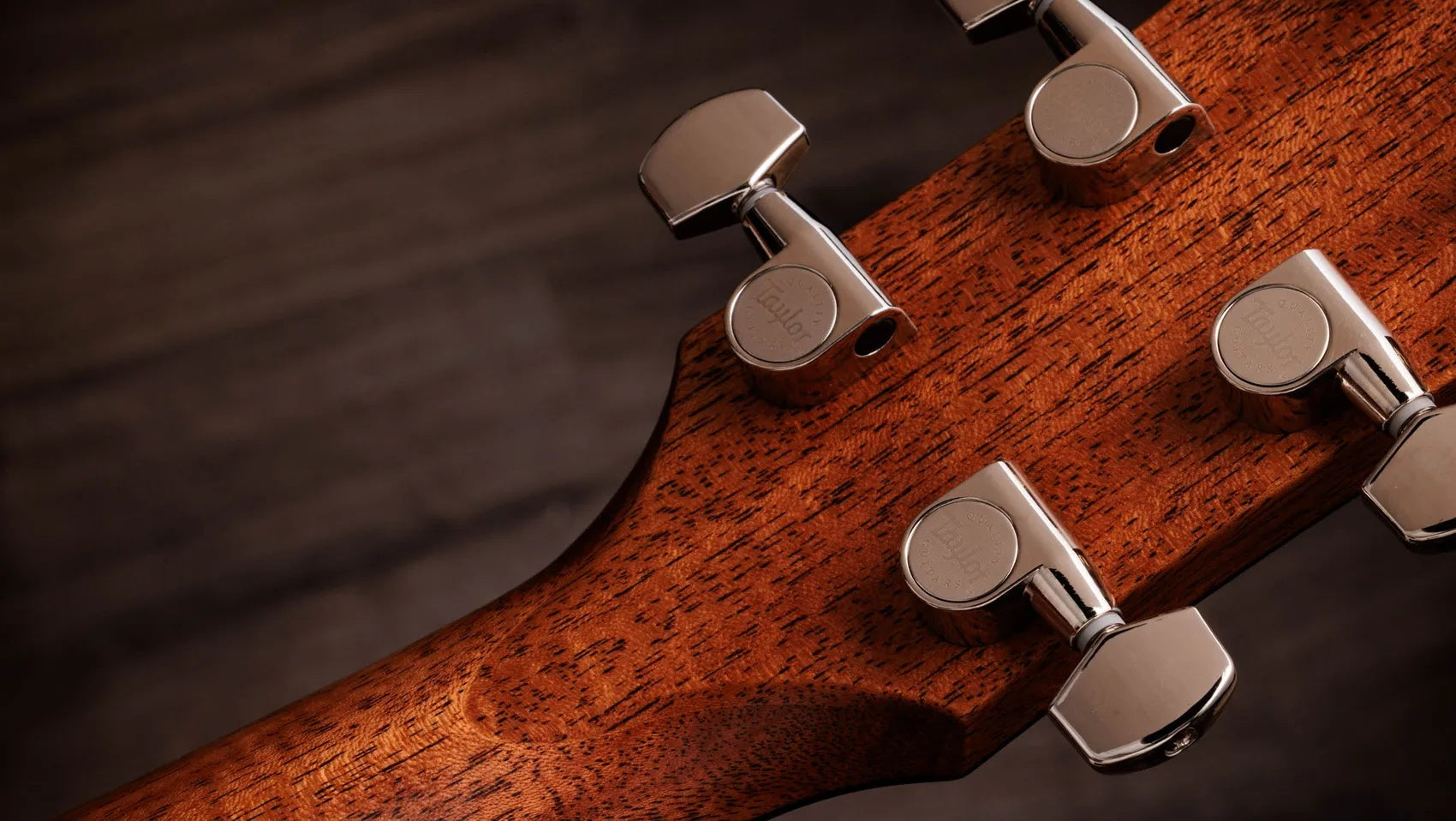 Đàn Guitar Acoustic Taylor Gold Label 514e
