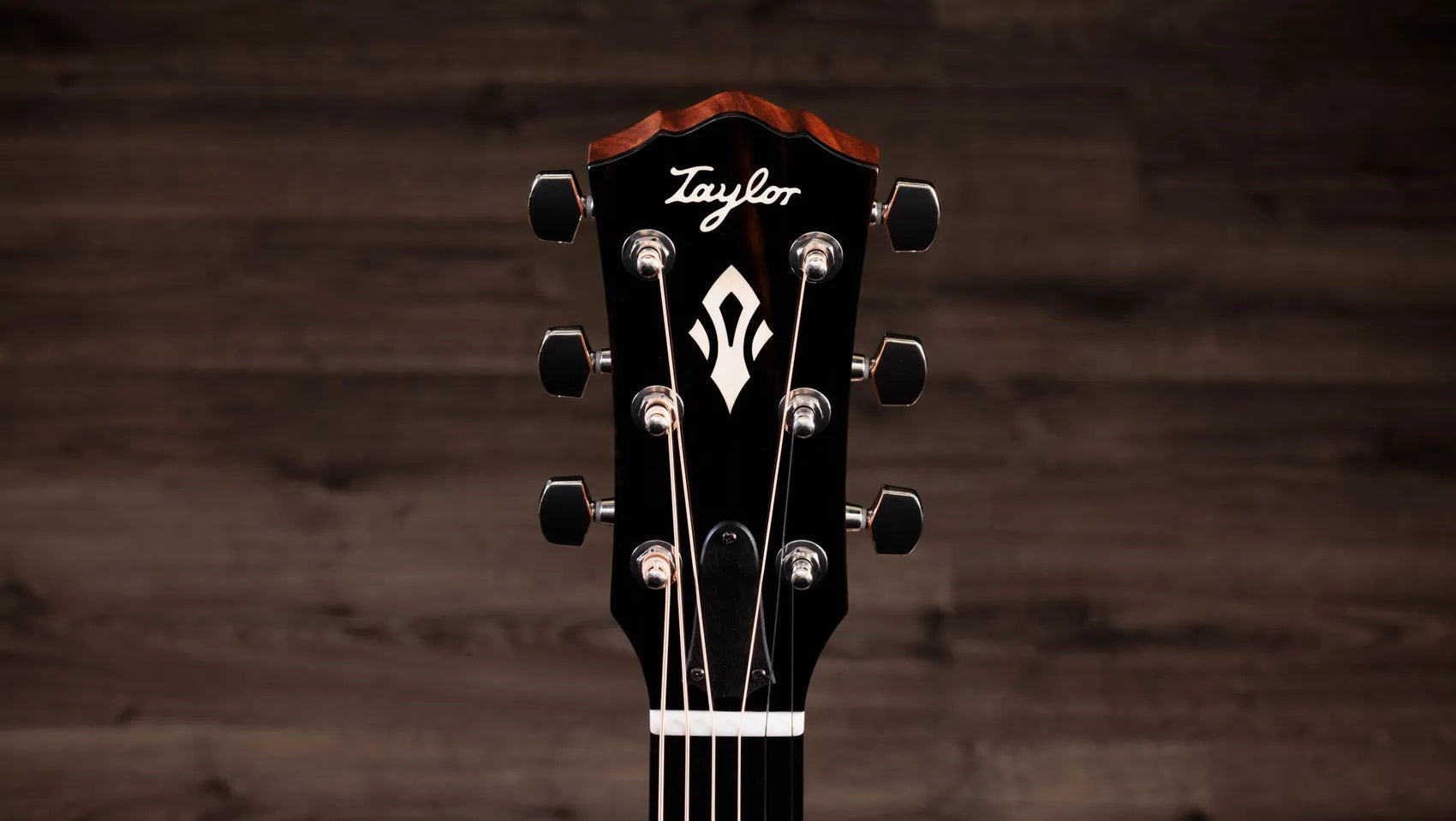 Đàn Guitar Acoustic Taylor Gold Label 514e