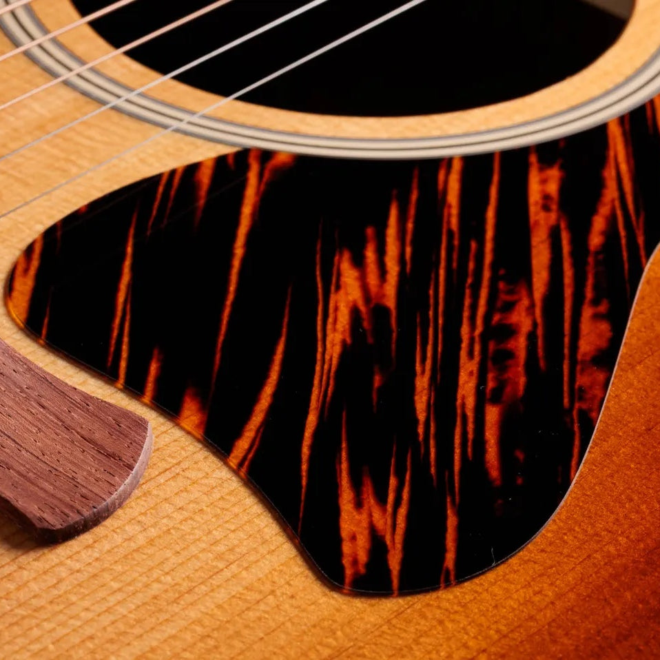 Đàn Guitar Acoustic Taylor Gold Label 514e